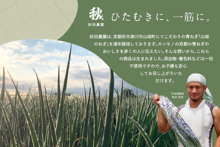 京都山城のねぎ ねぎベーゼ 100g 九条ねぎ 京野菜 ネギジェノベーゼ 緑黄色野菜 ジェノベーゼ 調味料 ソース パスタ 料理 簡単 じぇのべーぜ 青ねぎ 葱 簡単 ネギ ジェノベーゼ 緑黄色野菜 