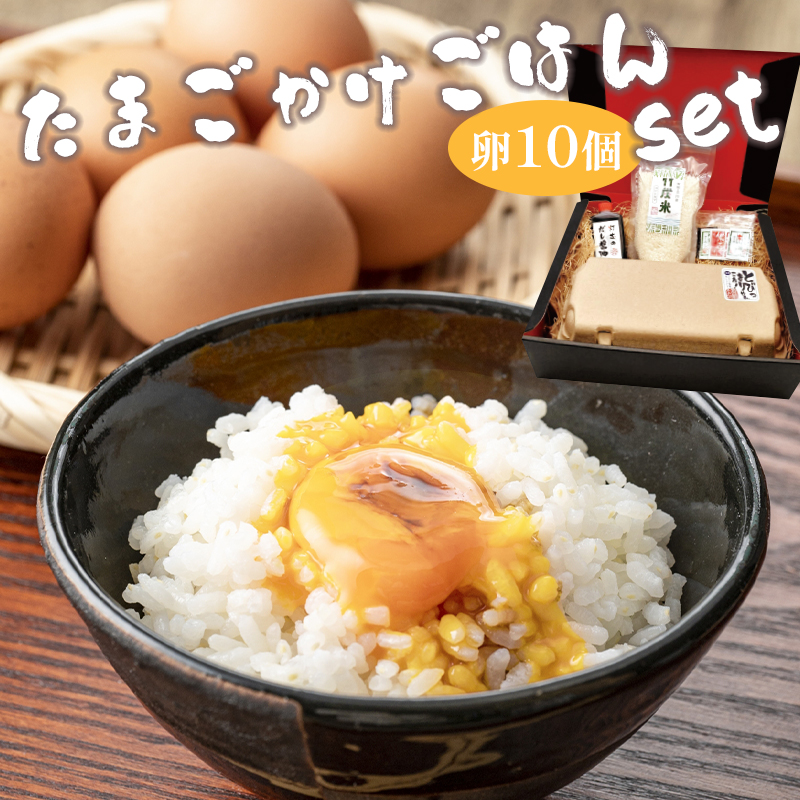 卵かけごはん セット 奥京都 「赤岩高原たまご」 卵かけご飯セット 卵 たまご 10個 お米 3合 特製タレ 薬味付き TKG お取り寄せ