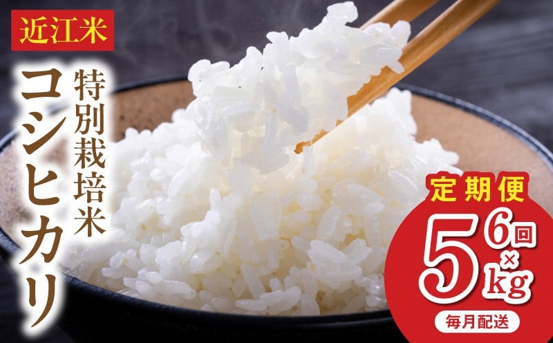 
                  令和8年度産  先行予約   近江米『コシヒカリ』　特別栽培米　5キロ×6回定期便（鮮度保持袋） DT-0001T
                