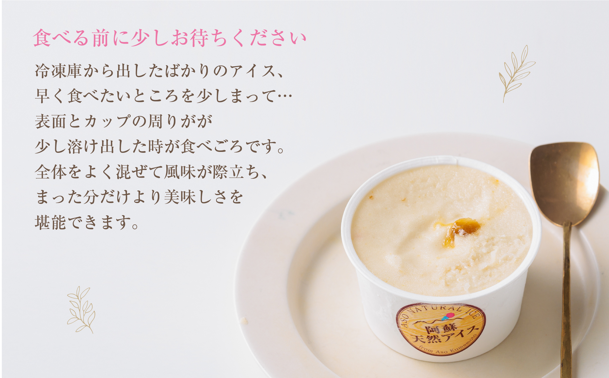 阿蘇天然アイス10種のジェラートセット アイス ジェラート グランプリ 受賞 10種類 セット 詰め合わせ バラエティ 素材 こだわり 人気 美味しい 贅沢 冷たい 夏休み 熊本 阿蘇