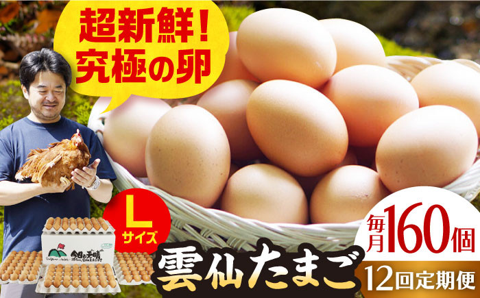 
【全12回定期便】Lサイズ160個(150個＋割れ補償10個入り) 長崎県/塚ちゃん雲仙たまご村 [42ACAE028] 卵 玉子 タマゴ 鶏卵 長崎 島原 九州
