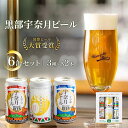 【ふるさと納税】ビール 宇奈月ビール6缶セット/地ビール クラフトビール 北陸 缶 /富山県黒部市　【 クラフトビール 飲み比べ セット お酒 地ビール 酒 】