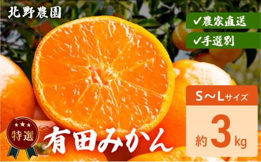 
                  【2026年先行予約】特選 有田みかん サイズ 混合 おまかせ S ～ L 約 3kg みかん 柑橘 フルーツ 果物 果実 果汁 デザート 深み 濃厚 国産 贈答用 ギフト用 北野農園 お取り寄せ 和歌山県 湯浅町 送料無料_DZ6233
                
