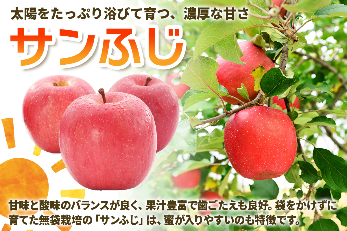 家庭用りんご サンふじ 3kg (9玉から12玉入り 3kg 1箱)  見た目にわけあり 味はそのまま｜令和7年産 2025年産 青森 津軽 つがる りんご リンゴ サンフジ 訳あり 訳アリ 果物 旬