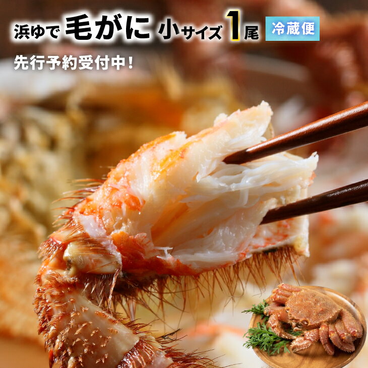 【ふるさと納税】【先行受付開始！】漁協の浜ゆで毛がに 小サイズ1尾※日付指定対応不可※[02-1413]離島・沖縄県発送不可※ 北海道 浦河 ふるさと納税 北海道産 北海道日高産 毛がに 毛蟹 蟹 浜ゆで 冷蔵発送 送料無料