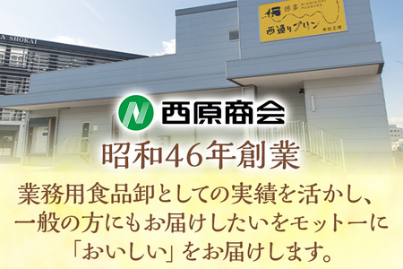 プリン 西通りプリン ポシェ 6個セット  福岡県 カスタード プリン