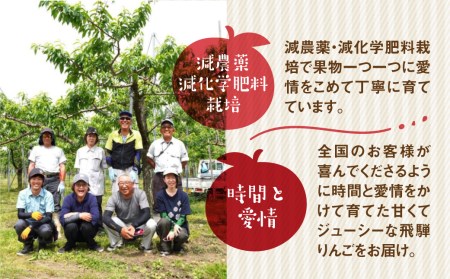 【12月~1月上旬発送】《令和8年産》りんご 訳あり 5kg / 果物 フルーツ 黒内果樹園 [DI030-26]