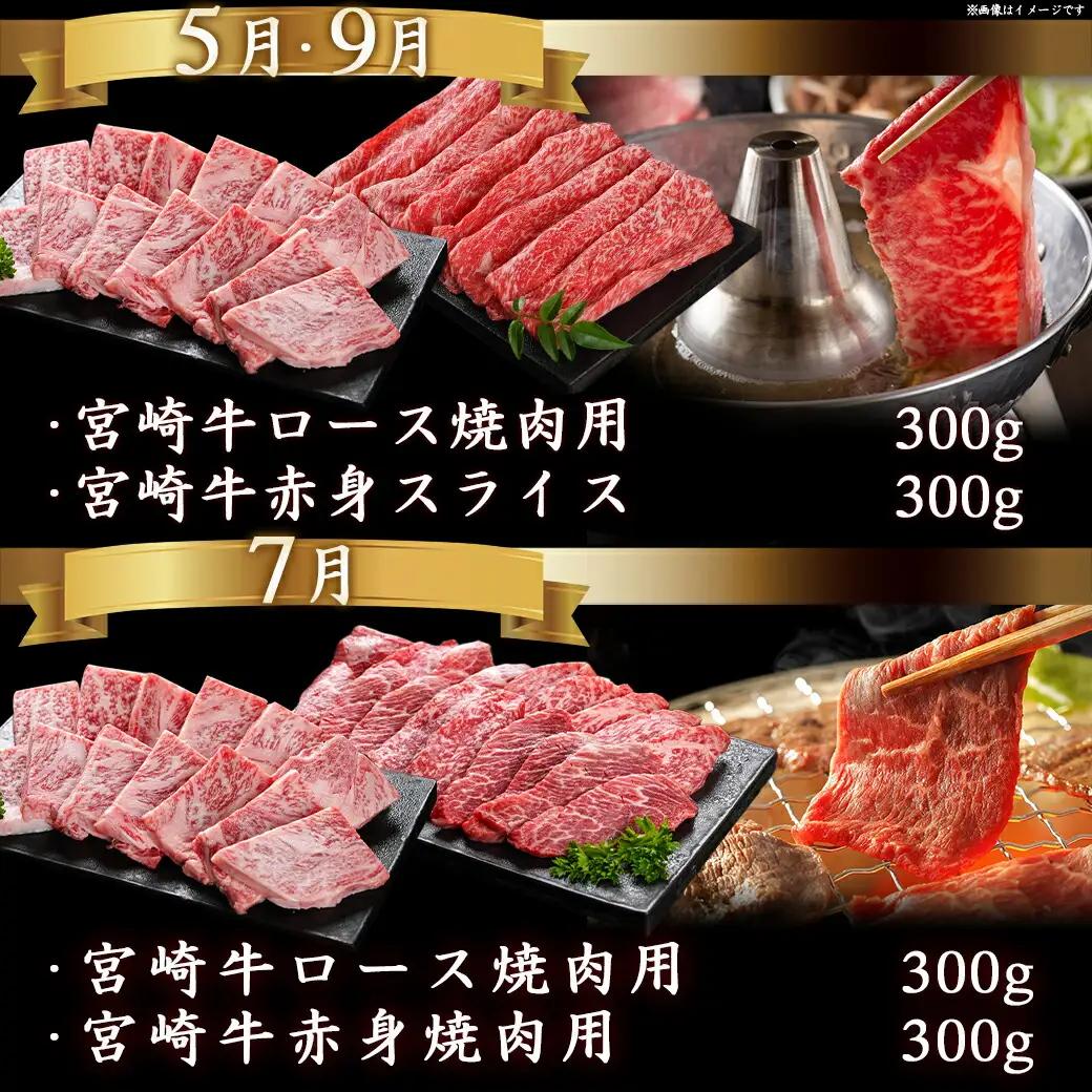 宮崎牛定期便(5ヶ月)〔T60（5）-0102〕_(都城市) ブランド牛肉 国産黒毛和牛 赤身 バラ 切り落とし サーロインステーキ 焼き肉 様々な宮崎牛の部位を5ヶ月間毎月お届け