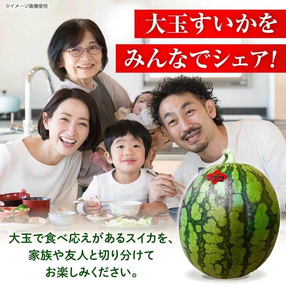 先行予約 大玉スイカ約7kg以上(1玉)ZEM004