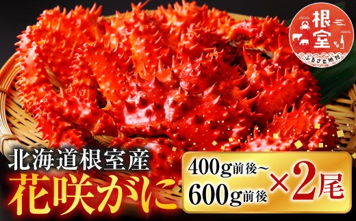 A-36029 【北海道根室産】花咲かに400g前後～600g前後×2尾
