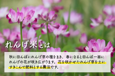 令和5年産 農薬不使用・化学肥料不使用 永平寺町産 れんげ米 10kg（5kg×2袋）[C-002029]