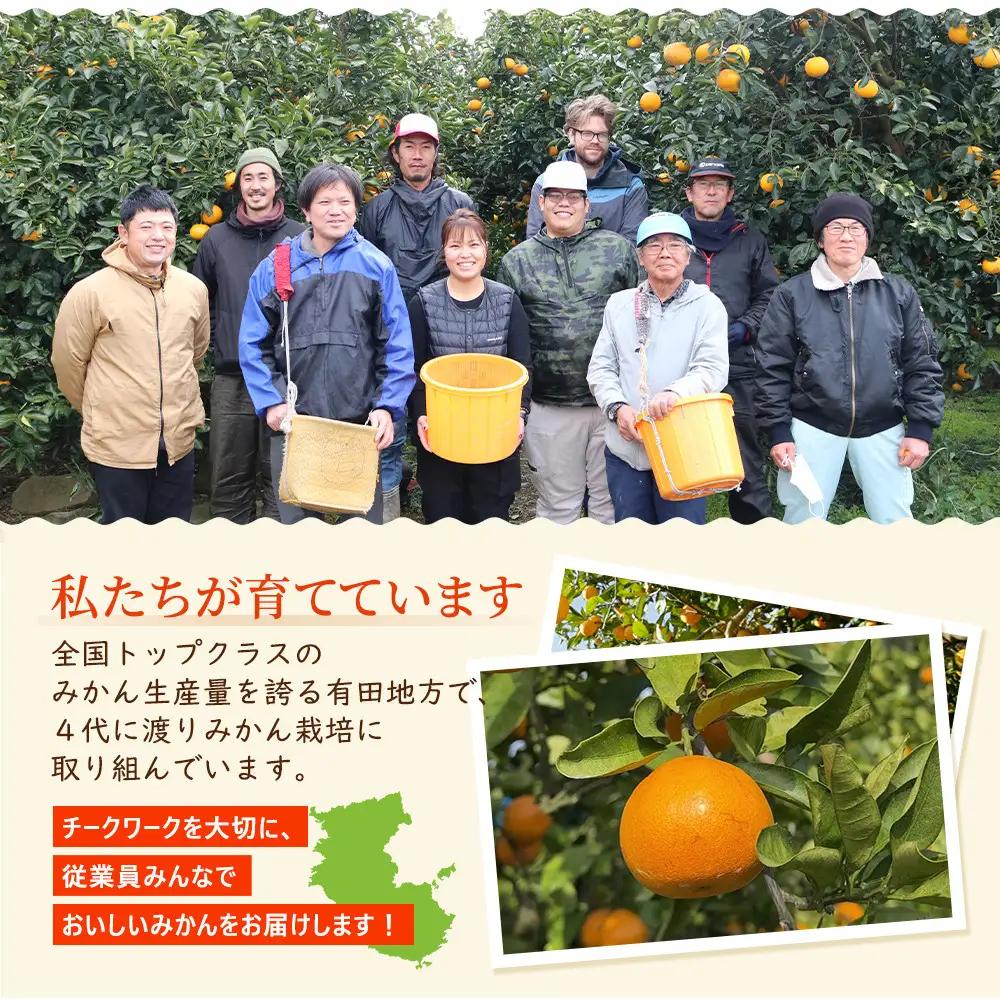 ［先行予約］プレミアム 有田みかん10kg+250g（傷み補償分）［2026年10月初旬から2027年1月末日頃順次発送予定］［IKE249］