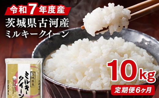 【定期便 6か月】【新米】 令和6年産 古河市産ミルキークイーン 10kg(5kg×2袋) | 米 こめ コメ みるきーくいーん 単一米 国産 産地直送 茨城県 古河市 _DP94