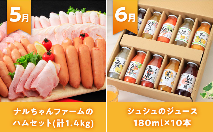 【全12回定期便】シュシュ大人気コース復刻版１ 大村市 おおむら夢ファームシュシュ [ACAA093]