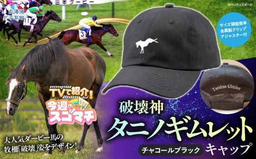 【破壊神タニノギムレット】キャップ 【 ふるさと納税 人気 おすすめ ランキング 馬 競馬 競走馬 引退馬 タニノギムレット 帽子 キャップ ぼうし 日高 北海道 平取町 びらとり 送料無料 】 BRTV106