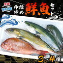 【ふるさと納税】 鮮魚セット 3 ～ 4種 宇和海産 神経締め こもこもShop 神経〆 海鮮ボックス 鮮魚ボックス 海の鯛陽 真鯛 マダイ 鯛 タイ カンパチ ハマチ 鰤 ブリ 縞鯵 シマアジ カワハギ 養殖 刺身 人気 鯛 アレンジ 新鮮 産地直送 冷蔵 国産 愛媛 宇和島 D050-186002