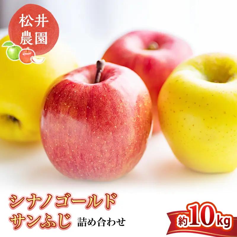 りんご サンふじ シナノゴールド 詰合せ 約10kg
