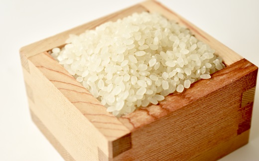 京丹波の清流育ち長老米 6kg（2kg×3袋） 小分けタイプ 京都 京丹波町産 米 コシヒカリ 栽培地域限定 ※北海道・沖縄・その他離島は配送不可