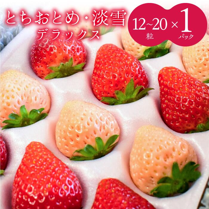 【ふるさと納税】【1～4月発送】いちご　紅白（とちおとめ・淡雪）DX　1箱（12～20粒）