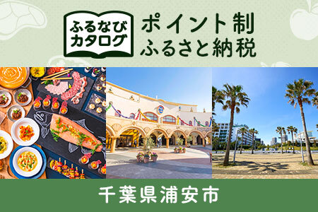 【有効期限なし！後からゆっくり特産品を選べる】千葉県浦安市カタログポイント