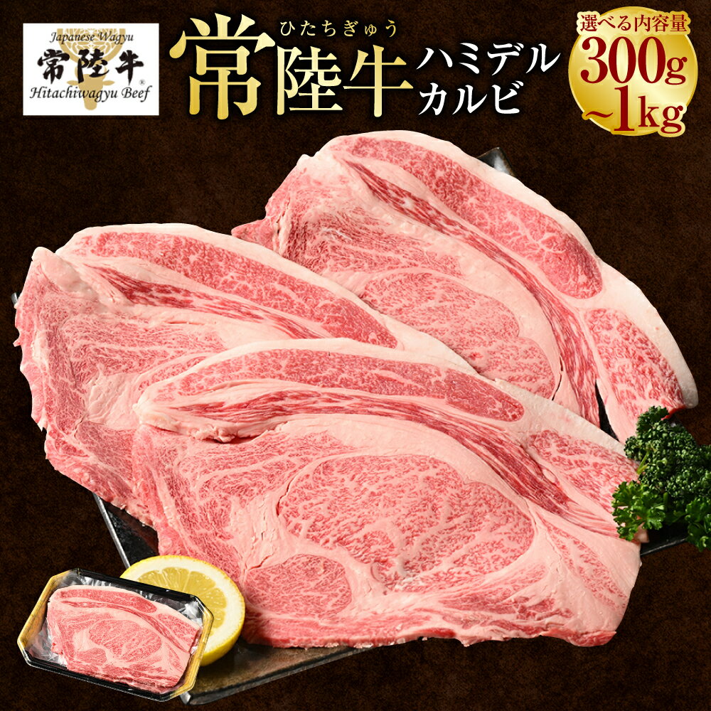 【ふるさと納税】＼レビューキャンペーン／【常陸牛】ハミデルカルビ300g～1kg(2～10枚) （茨城県共通返礼品 茨城県産）　肉 お肉 牛肉 ブランド牛 ブランド和牛 和牛 常陸牛 リブロース カブリ ゲタ リブ芯 リブ巻 カルビ 多部位 BBQ 冷凍 茨城県 守谷市 送料無料