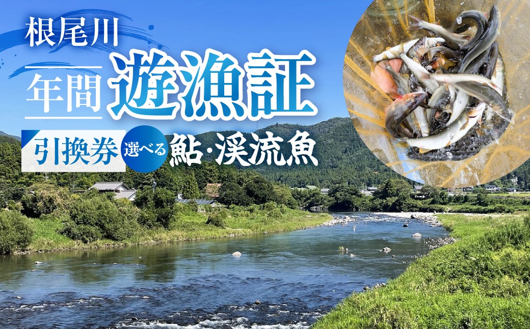 
                  岐阜県本巣市 根尾川 年間遊漁証引換券（令和８年シーズン用）根尾川 釣り あゆ 鮎 あゆ釣り 鮎釣り 雑魚 雑魚釣り 渓流魚 渓流魚釣り 年券 チケット 引換券 根尾川筋漁業協同組
                
