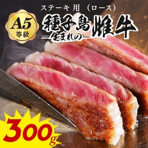 「 自慢 の逸品」 西之表市生まれの黒毛和牛 雌牛 ステーキ 用 （300g）　NFN542 【600pt】