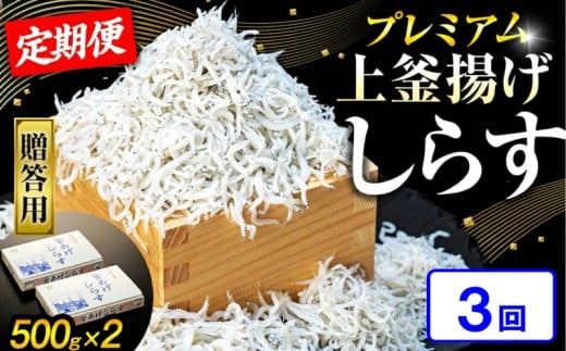 【定期便3回】釜揚げしらす 1kg(500g×2箱) 冷凍 箱入り 計6箱 惣菜 弁当 便利 ランキング 減塩 無添加 無着色 ご飯 ごはん 丼 料理 国産 カネ成 シラス おつまみ お取り寄せ お取り寄せ サラダ グルメ 人気 おすすめ シラス しらす しらすごはん shirasu sirasu SIRASU 人気シラス 愛知県 南知多町