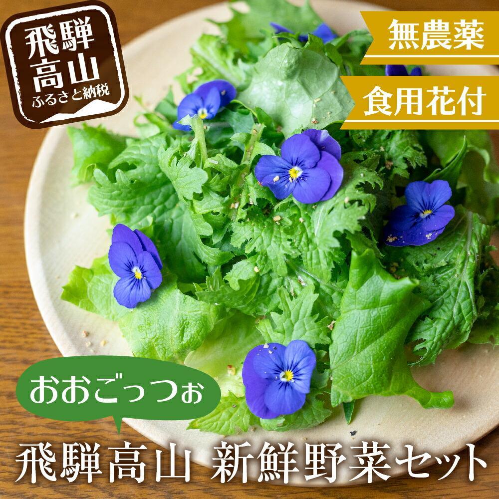 【ふるさと納税】飛騨高山野菜『おおごっつぉ』詰合せ 葉物野菜 葉物 ミックスリーフ わさびな フラワーサラダ 無農薬野菜 無農薬 飛騨高山 FDS HS001VP