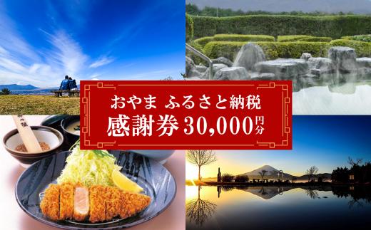 おやま ふるさと納税 感謝券 30,000円分（1,000円券×30枚）【 感謝券 チケット 利用券 静岡県 小山町 買い物 食事 宿泊 】