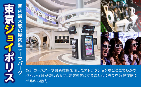 デックス東京ビーチ5パス │ 東京 遊園地 チケット