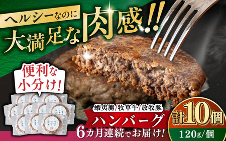 【全6回定期便】【蝦夷鹿×牧草牛×放牧豚】ハンバーグ 10個【GOODGOOD株式会社】 ハンバーグ 鹿肉 牛肉 豚肉 小分け 冷凍配送 北海道 [AXBP032]