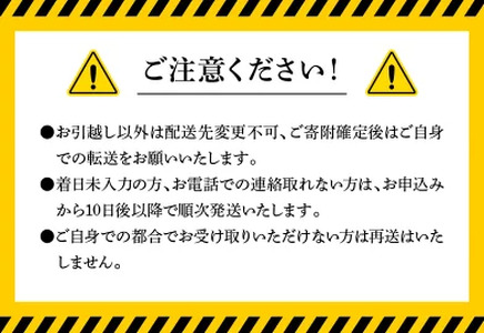 延岡産活〆鮮魚　職人技の脱血鮮魚　シマアジ　N019-ZB419