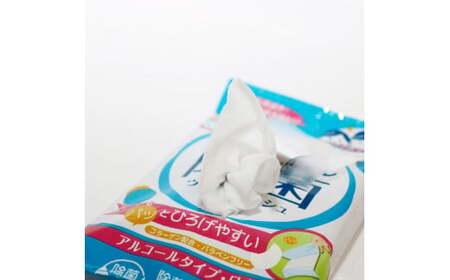 かんたん除菌 ウエットティッシュ アルコールタイプ 20枚入り×3P×3セット(合計9個) 高知県土佐市 【テンポイント株式会社】 [BQBI004]