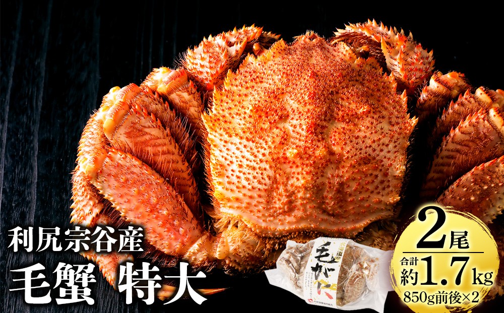 
                  北海道 利尻・宗谷産 毛ガニ 特大サイズ（850g前後） 2尾セット＜利尻漁業協同組合＞
                