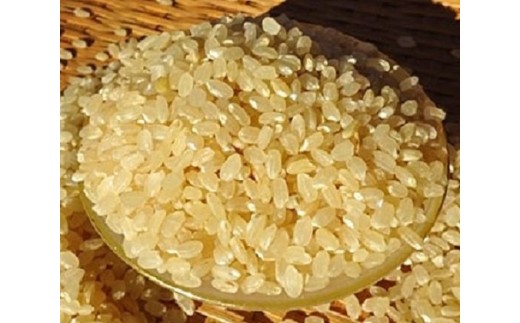 完全自然米 5kg【分搗き】＋古代米セット_A0038-015