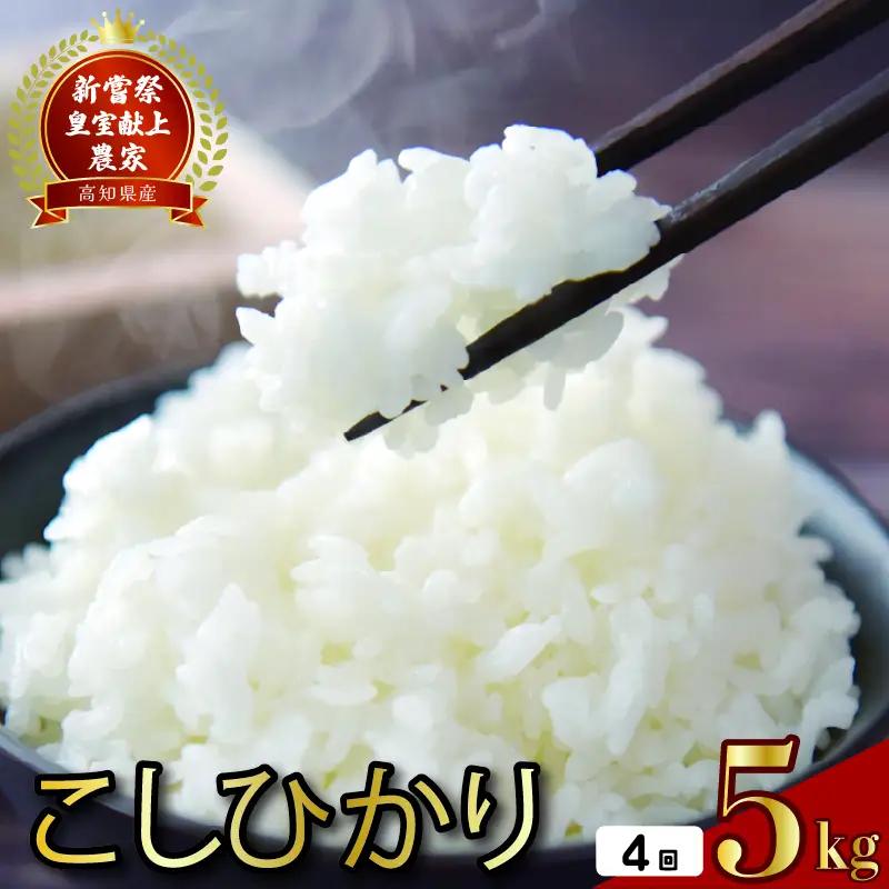 【こしひかり】令和8年度産 5kg×4回 こしひかり 米 AS005