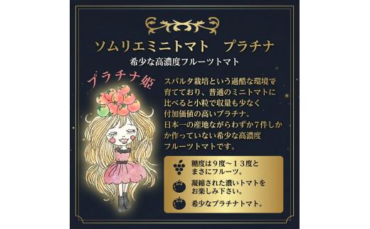 【特別栽培農産物】ソムリエミニトマト・プラチナ 4kg | 野菜 やさい トマト とまと 銀賞 熊本県 玉名市