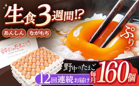 【12回定期便】産みたて新鮮卵 野中のたまご  160個×12回 計1920個【野中鶏卵】[OAC012] /卵 たまご 高級卵 卵焼き 卵かけご飯 たまご 濃厚たまご タマゴ