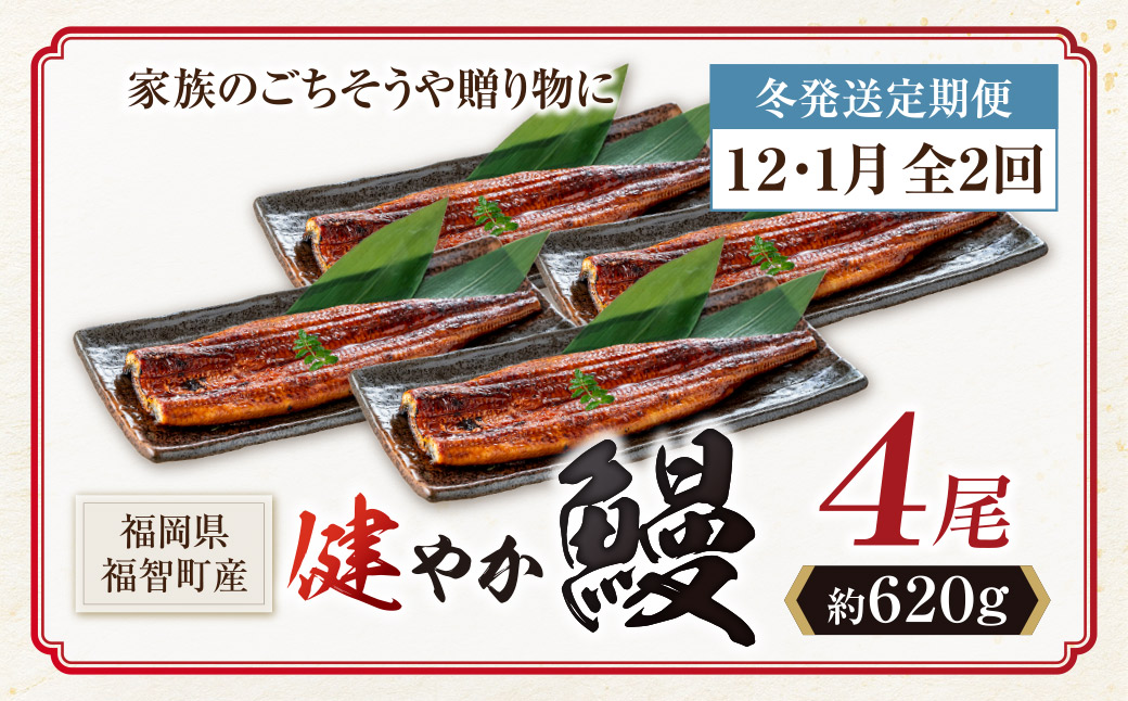健やか鰻 国産うなぎ蒲焼(無頭)4尾(計620g以上) 定期便(冬発送・12月〜1月・全2回) 4尾 定期便(冬発送・12月〜1月・全2回)