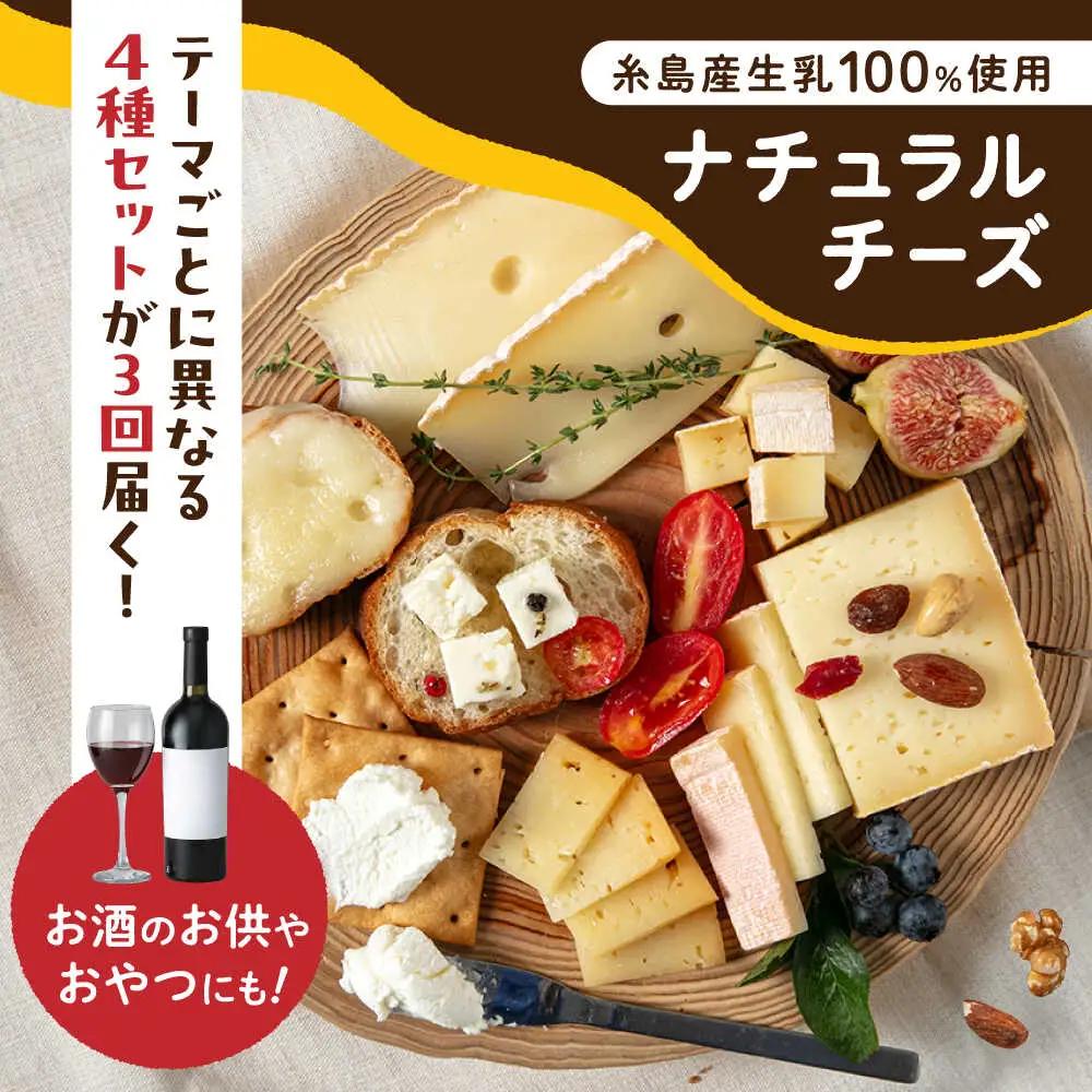 【全3回 お楽しみ 定期便】糸島産 生乳 100％ 使用 手作り チーズ 毎月 4種 糸島市 / 糸島ナチュラルチーズ製造所TAK-タック- [AYC010]