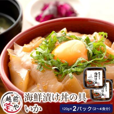 ふるさと納税 福井市 海鮮漬け丼の具 イカ / 120g×2パック(2〜4食分)