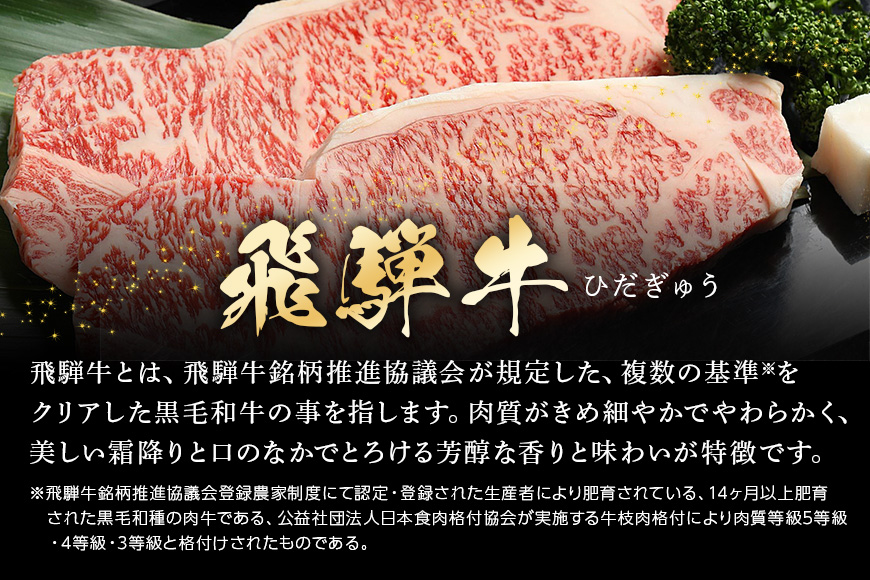 【冷蔵配送】飛騨牛 サーロインステーキ 250g 2枚