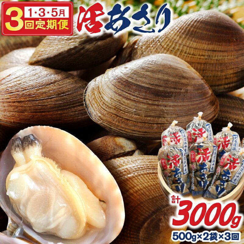 【ふるさと納税】隔月 1月 ・ 3月 ・ 5月 お届け 先行予約 ・ 期間限定 浜中町産 活あさり 定期便 500g × 2袋 × 3回 総重量 3kg アサリ 殻付 冷蔵 貝 貝類 海鮮 砂出し済み 味噌汁 汁物 酒蒸し おかず おつまみ お土産 手土産 海産物 北海道 お取り寄せ グルメ 送料無料