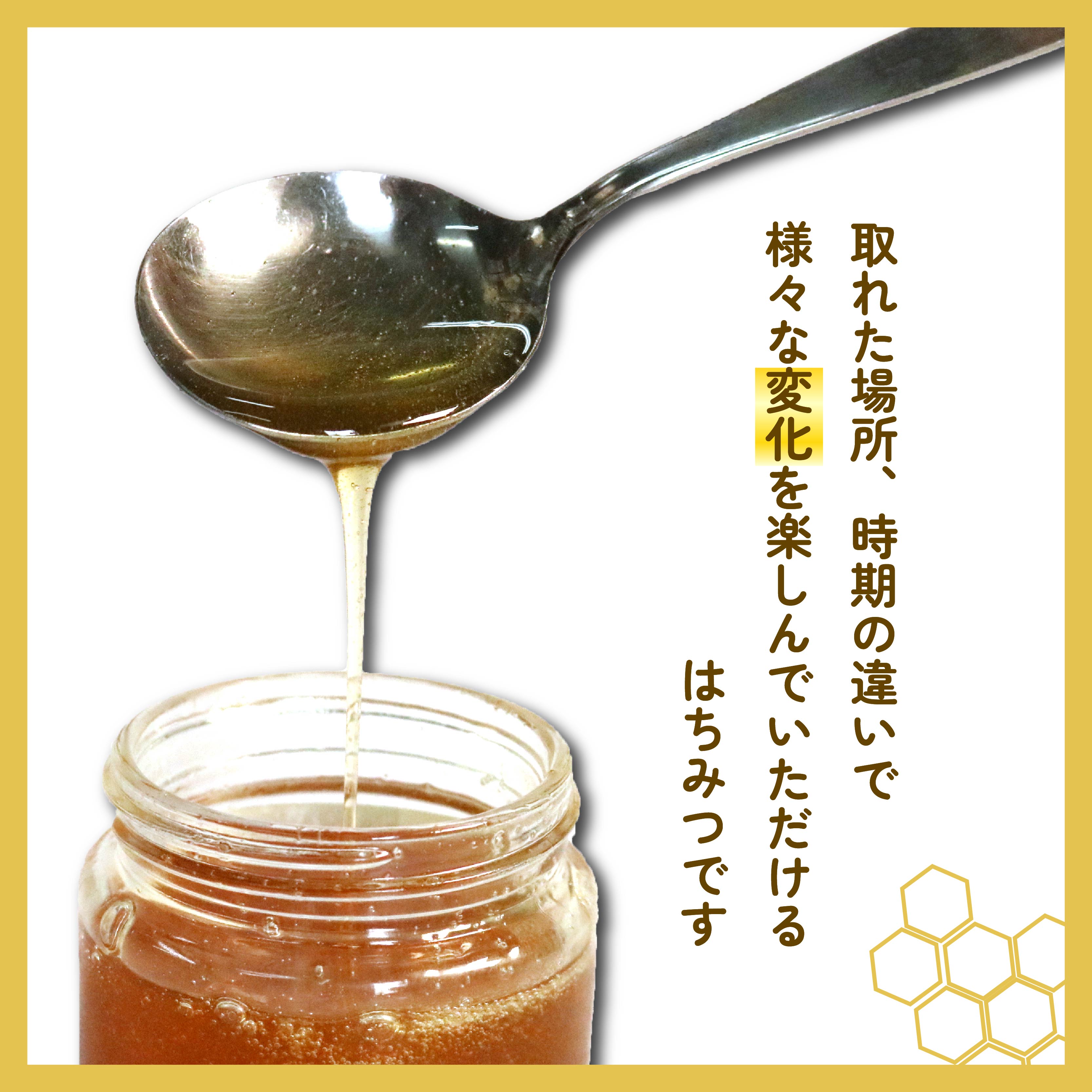 はちみつ 百花蜜 500g × 2本 計 1kg するがはちみつ 蜂蜜 ハニー 国産 ハチミツ 健康 化粧箱入 贈答用 プレゼント パン ジャム 朝食 静岡県 藤枝市