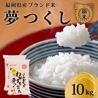ふるさと納税 那珂川市 令和7年産 福岡県産米 夢つくし 合計10kg(5kg×2袋)(那珂川市)