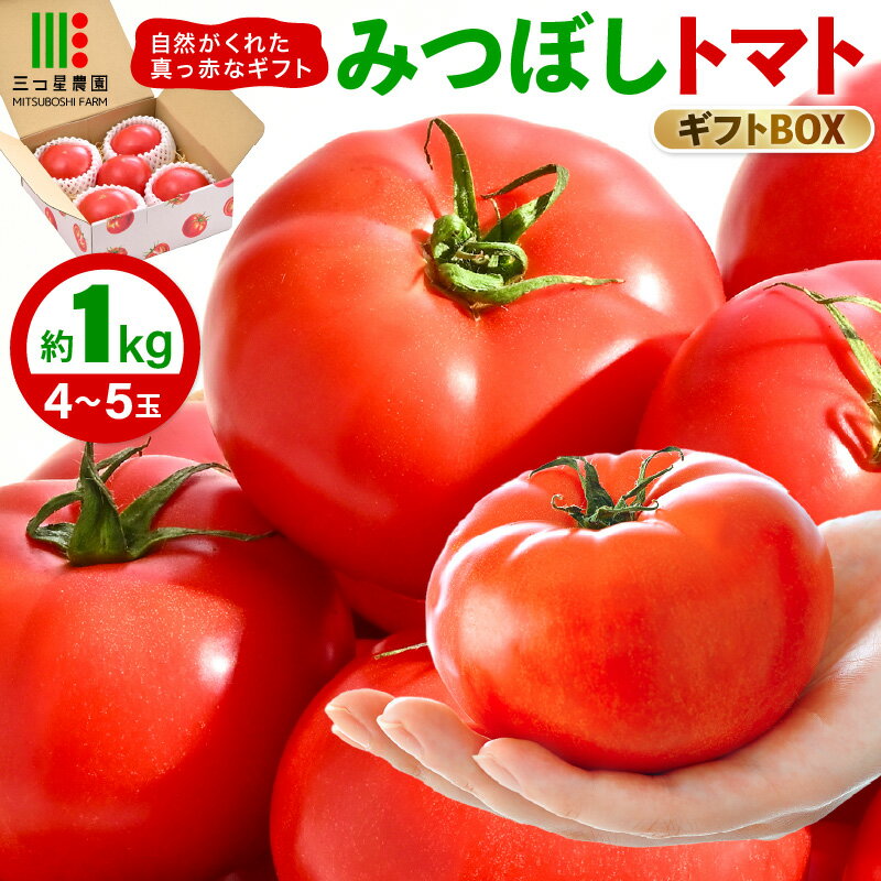 【ふるさと納税】【先行予約】みつぼしトマト☆自然がくれた真っ赤なギフト 約1kg 【2026年5月上旬以降順次発送予定】【とまと トマト 野菜 生野菜 新鮮 産地直送 贈答 ギフト 国産】