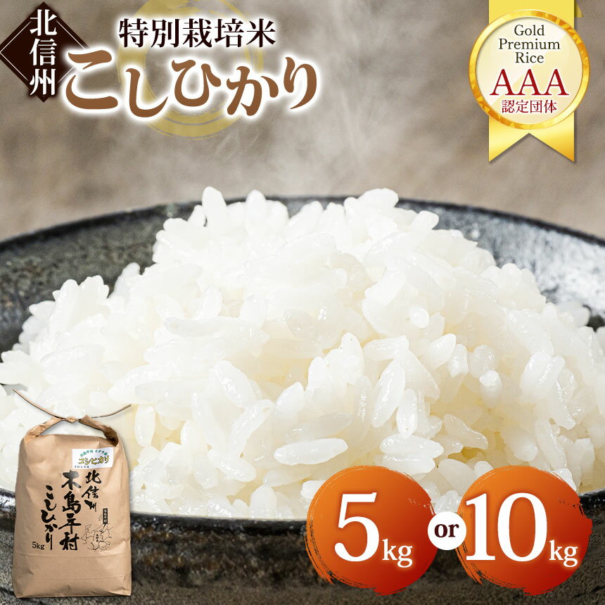 【ふるさと納税】【先行予約】木島平産コシヒカリ 約5kg/10kg（山嵜智之さん） | 米 白米 精米 特別栽培米 コシヒカリ こしひかり お米 おこめ 減農薬 長野県 木島平村 信州