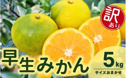 
                  訳あり 由良 早生 みかん (サイズおまかせ) 5kg【eiw003-c-5】
                