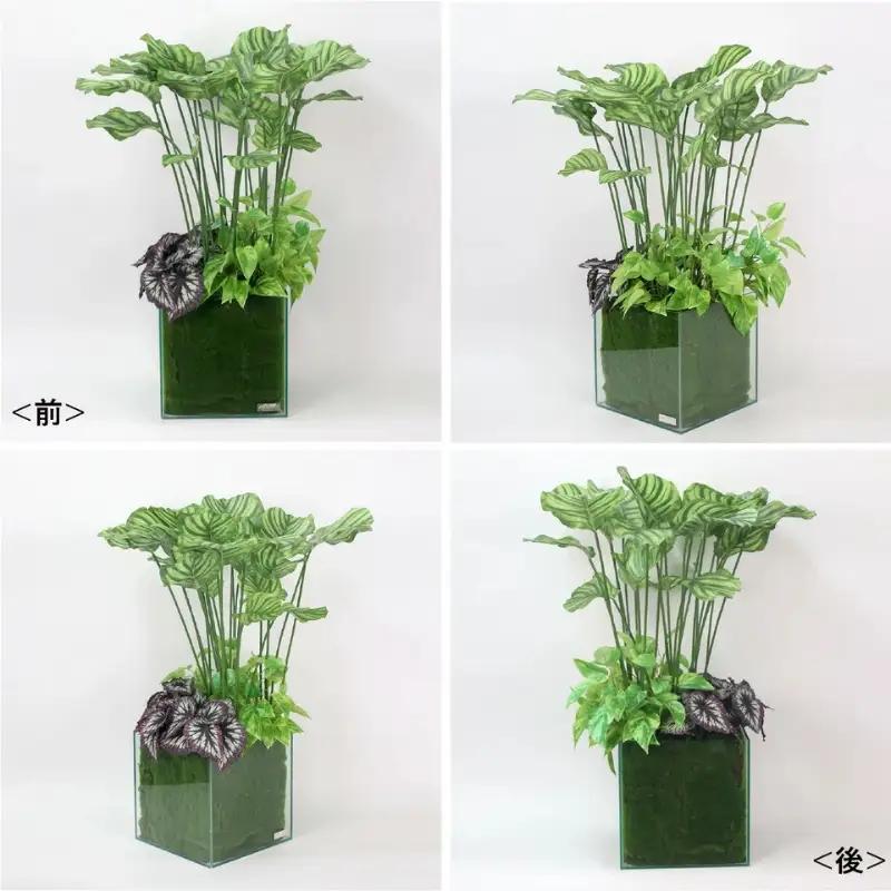 エミリオ・ロバ カラテア アーティフィシャルグリーン 造花 観葉植物 水やり不要 ボタニカル